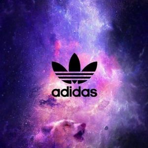 Meet your Posher, Owen